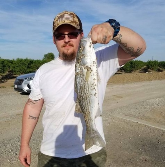 Meet your Posher, Mike - Picture 1 of 1